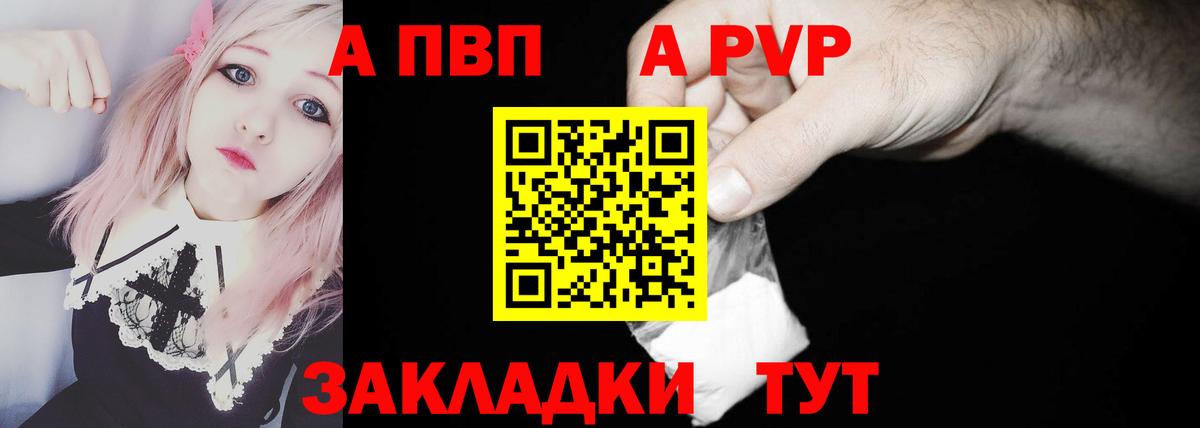 Альфа ПВП СК Волгодонск