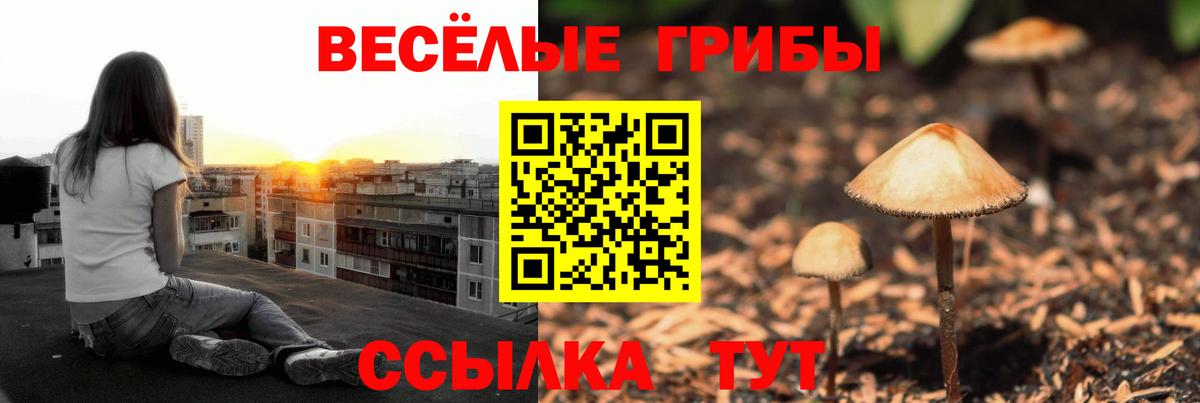 Волгодонск  Галлюциногенные грибы ЛСД  Вход с VPN 